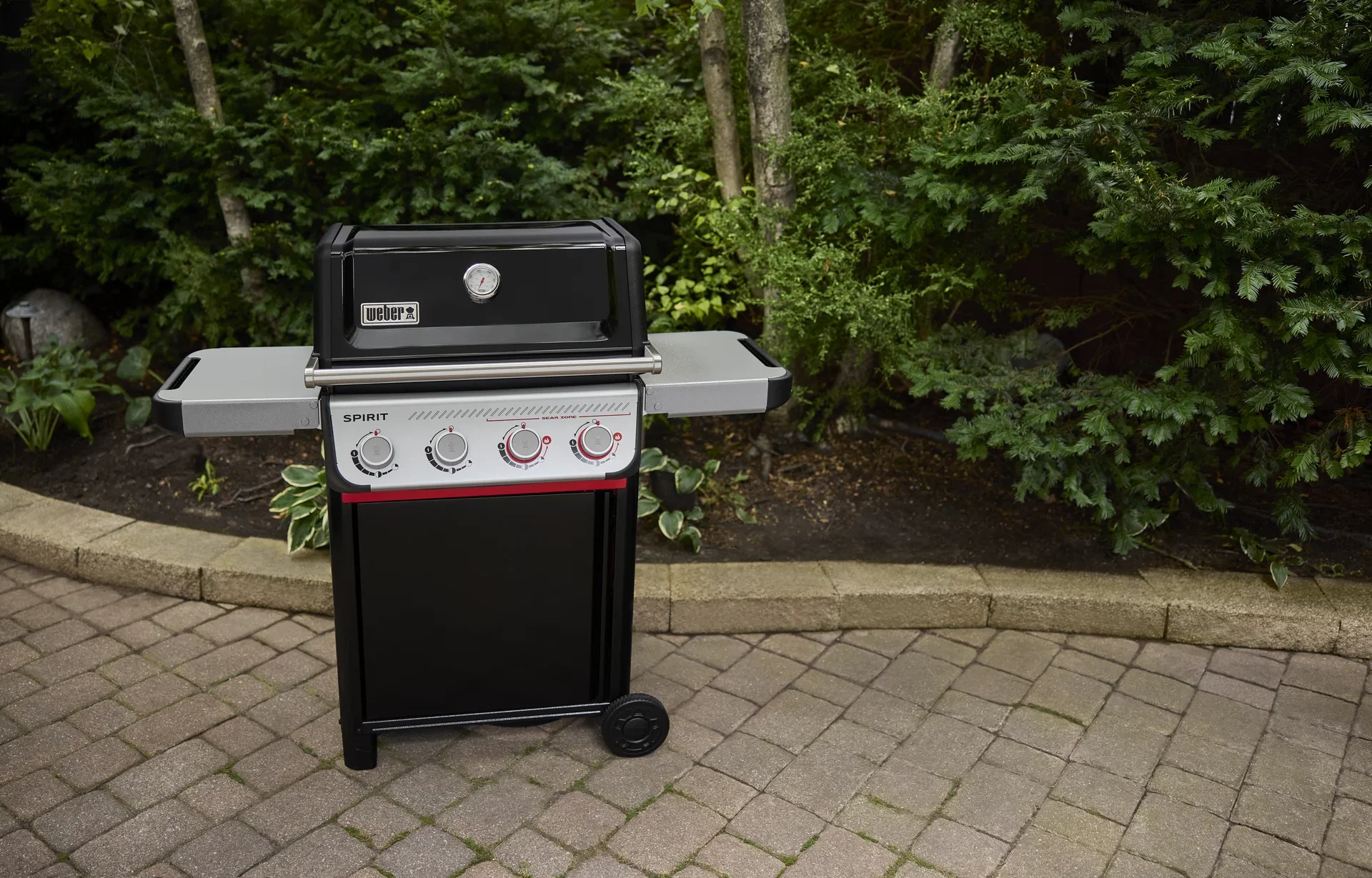 Weber Gassgrill Spirit E-425