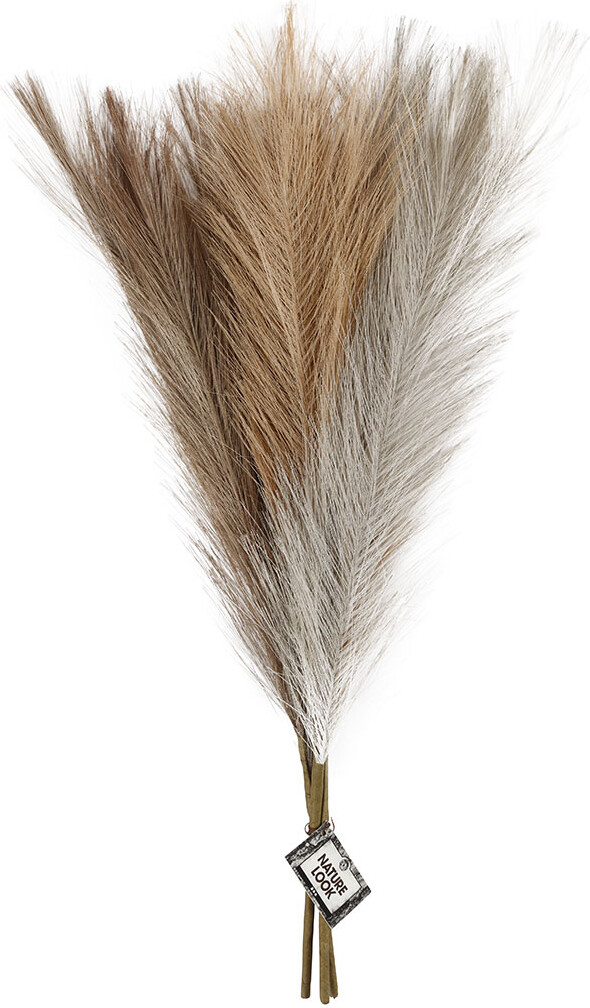 Pampasgræs - L 50 CM - Lys Pudder - Lys Brun - Lys Grå - 3 Stk./ 1 Bundt
