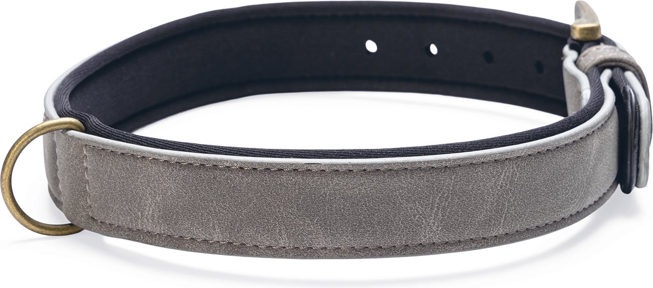 Beeztees hondenhalsband Balacron Ax grijs 43-53 x 2,5 cm