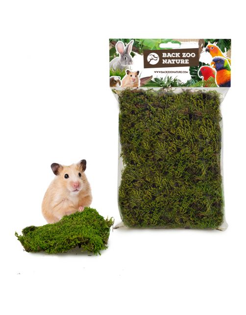 Back Zoo Nature Forest Moss - Natuurlijk Speelgoed - ca. 70 g