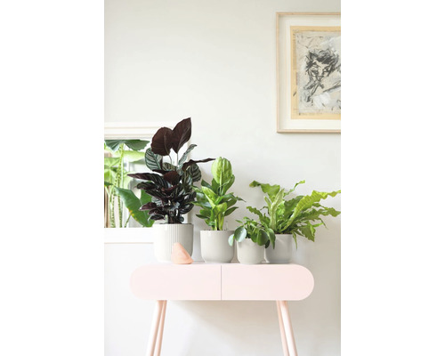elho Vibes fold ronde mini plantenbak, kunststof, Ø 11,1 cm, H 10,5 cm, wit