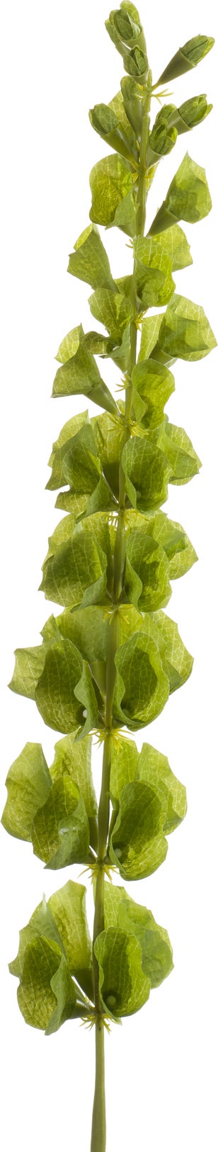 Emerald kunstbloem Molucella groen 80 cm