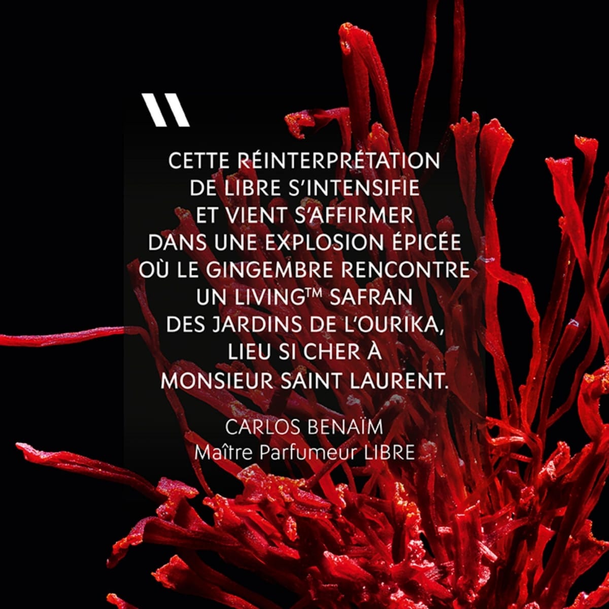 YVES SAINT LAURENT Libre Le Parfum