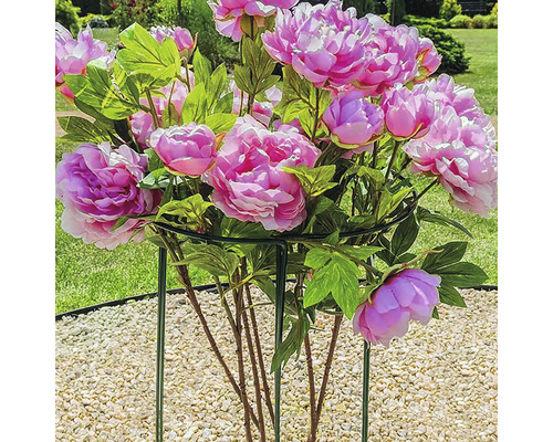 Plantensteun, set van 3, Wilk, 37 x 37 x 115 cm, groen