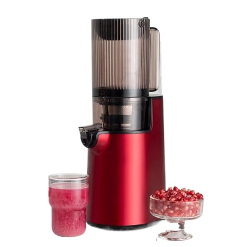 Presse Agrumes à Mastication Lente, Presse Agrumes à Froid 250 W 1400 ML avec 2 Doubles Couches de Filtre, 1 Tasse de récupération de jus/Lies, Presse Agrumes séparateur de pulpe Amovible avec Brosse : Cuisine et Maison