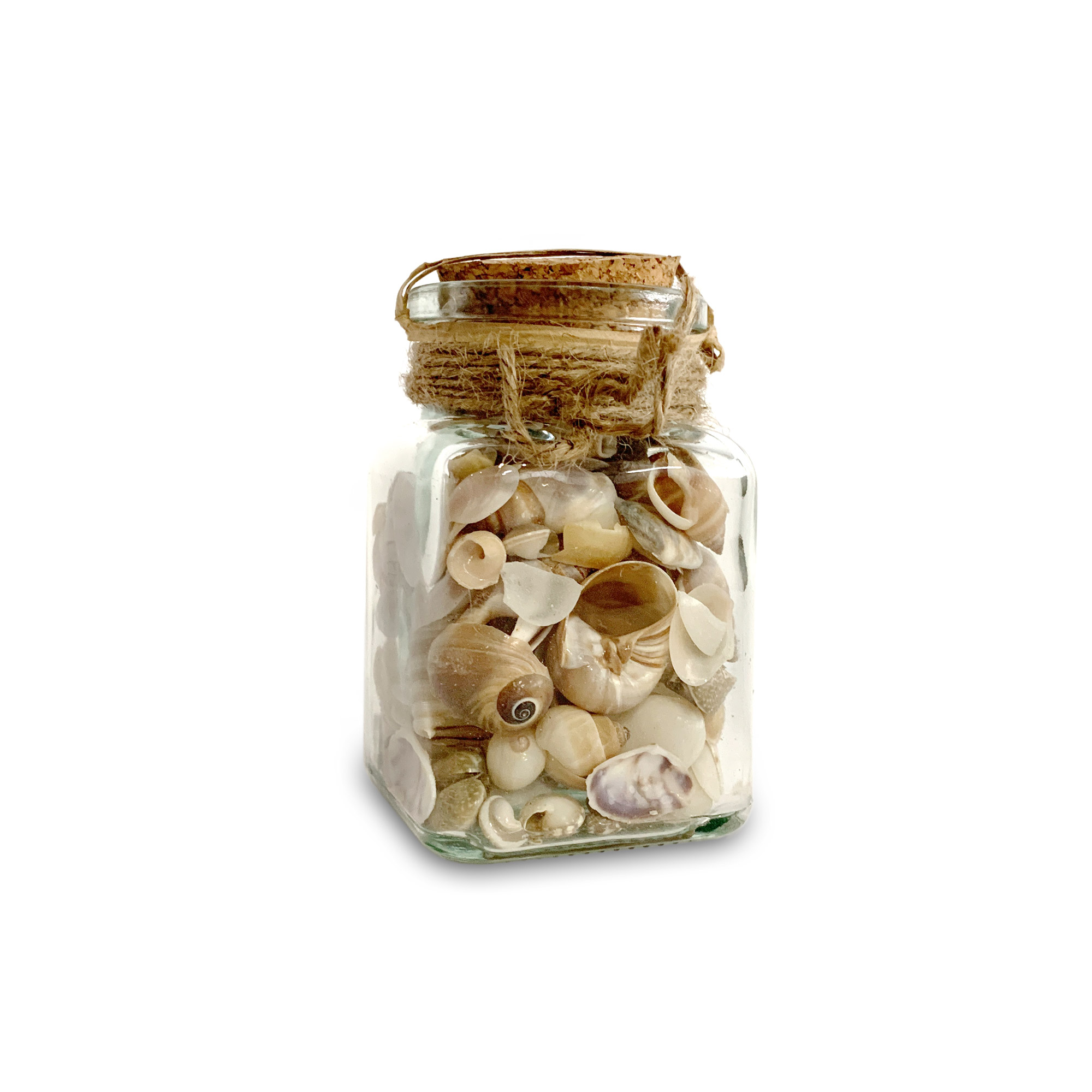 Muscheln & Schnecken im Glas, H 9 cm, B 5 cm, L 5 cm von fischer's lagerhaus
