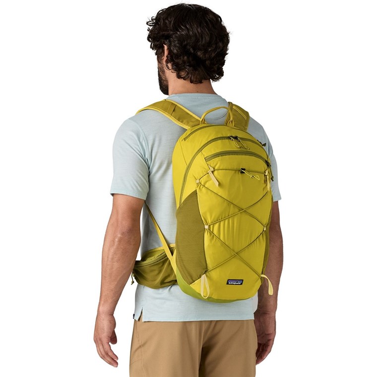 Patagonia Terravia Pack 22L Graze Green