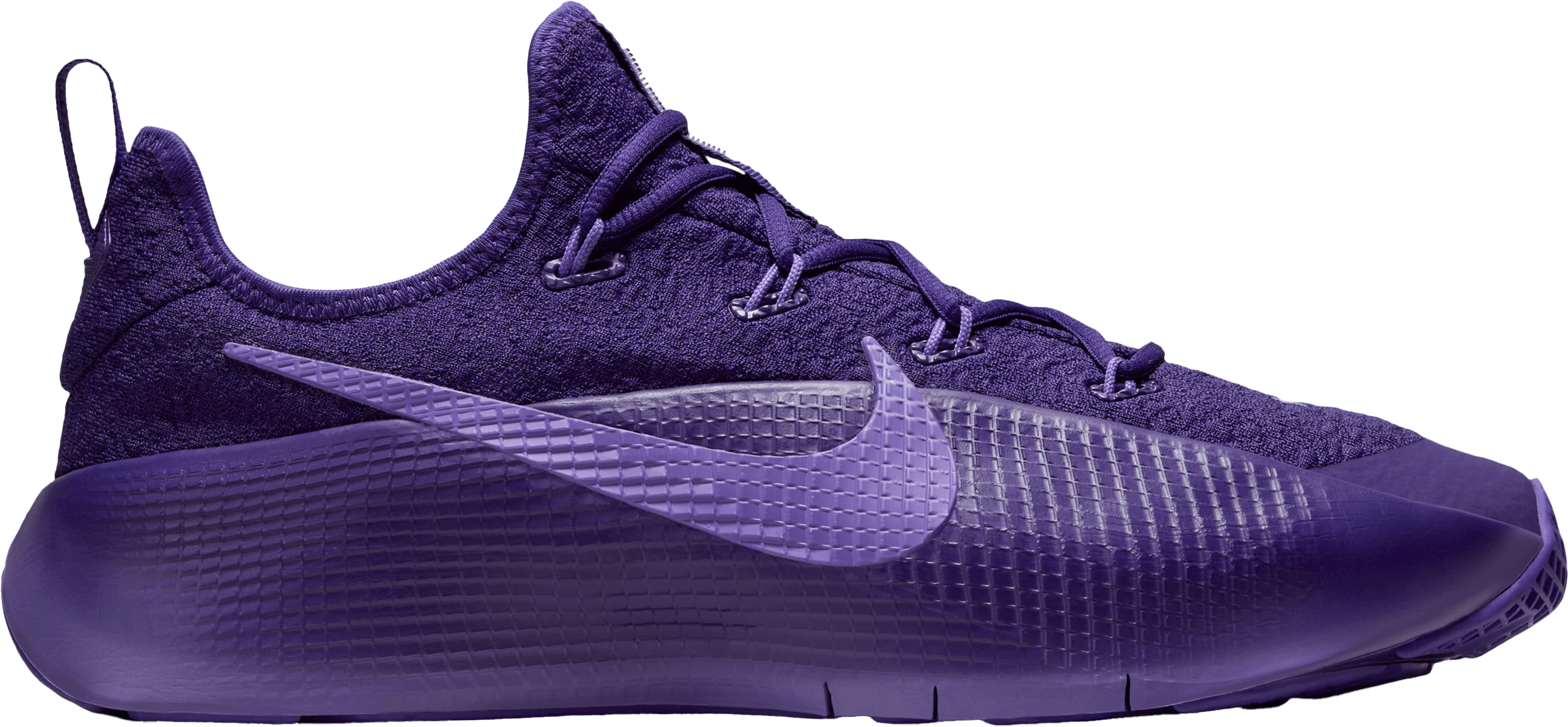 Nike Lebron TR 1 Schuh Lila F500