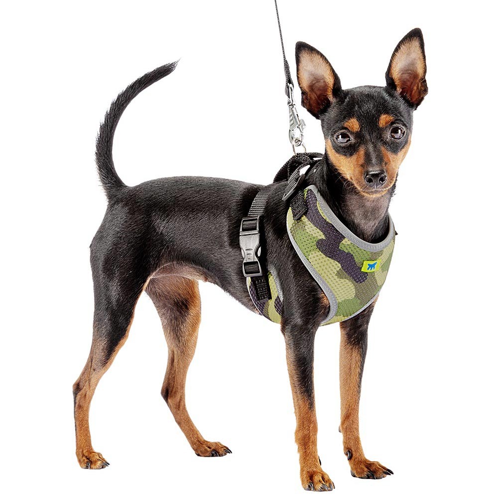 Harnais pour chiens nikita fashion xs, respirant, rembourré et ajustable