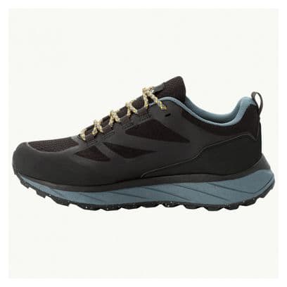 Chaussures de Randonnée Jack Wolfskin Terraventure Texapore Low Gris