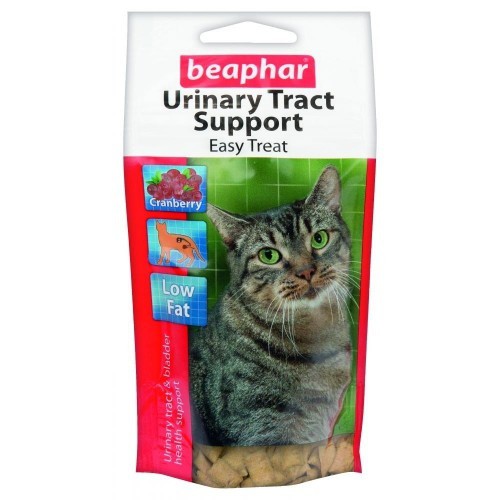 Petiscos benéficos para o trato urinário e cistite em gatos.