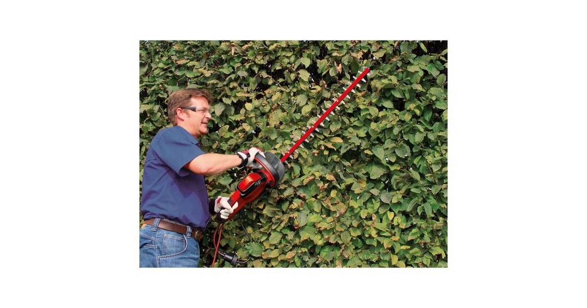 EINHELLHeggenschaar GC-EH 6055/1  (Rood/zwart, 600W)