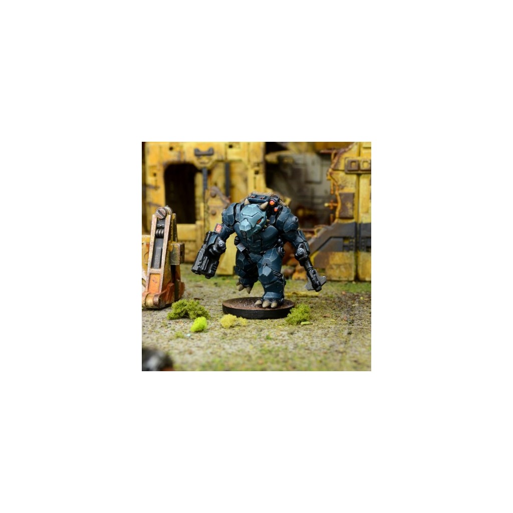 Deadzone 2nde edition : Soldat d’Assaut Teraton