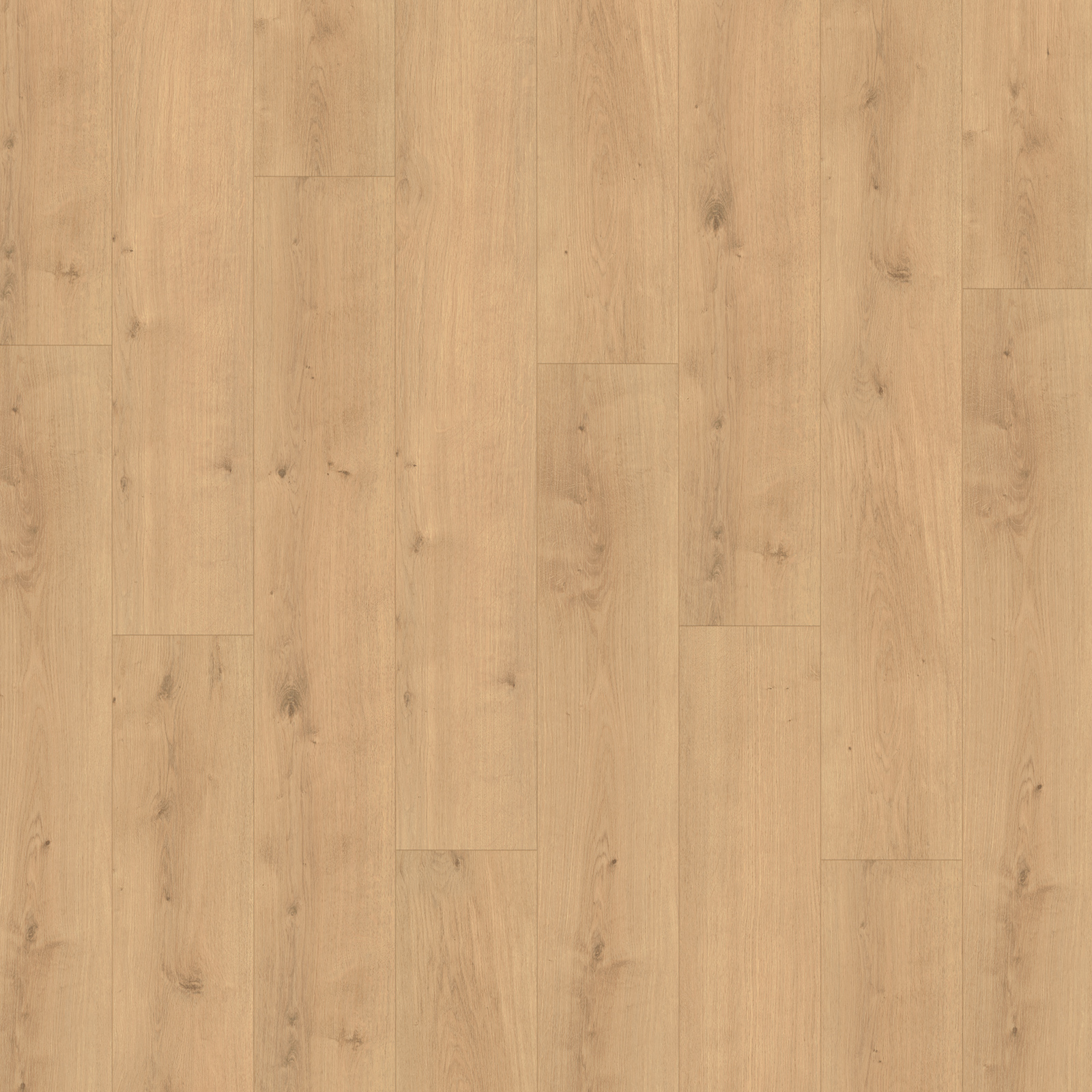 PARADOR Designboden MODULAR ONE - Eiche Pure natur - 8 mm