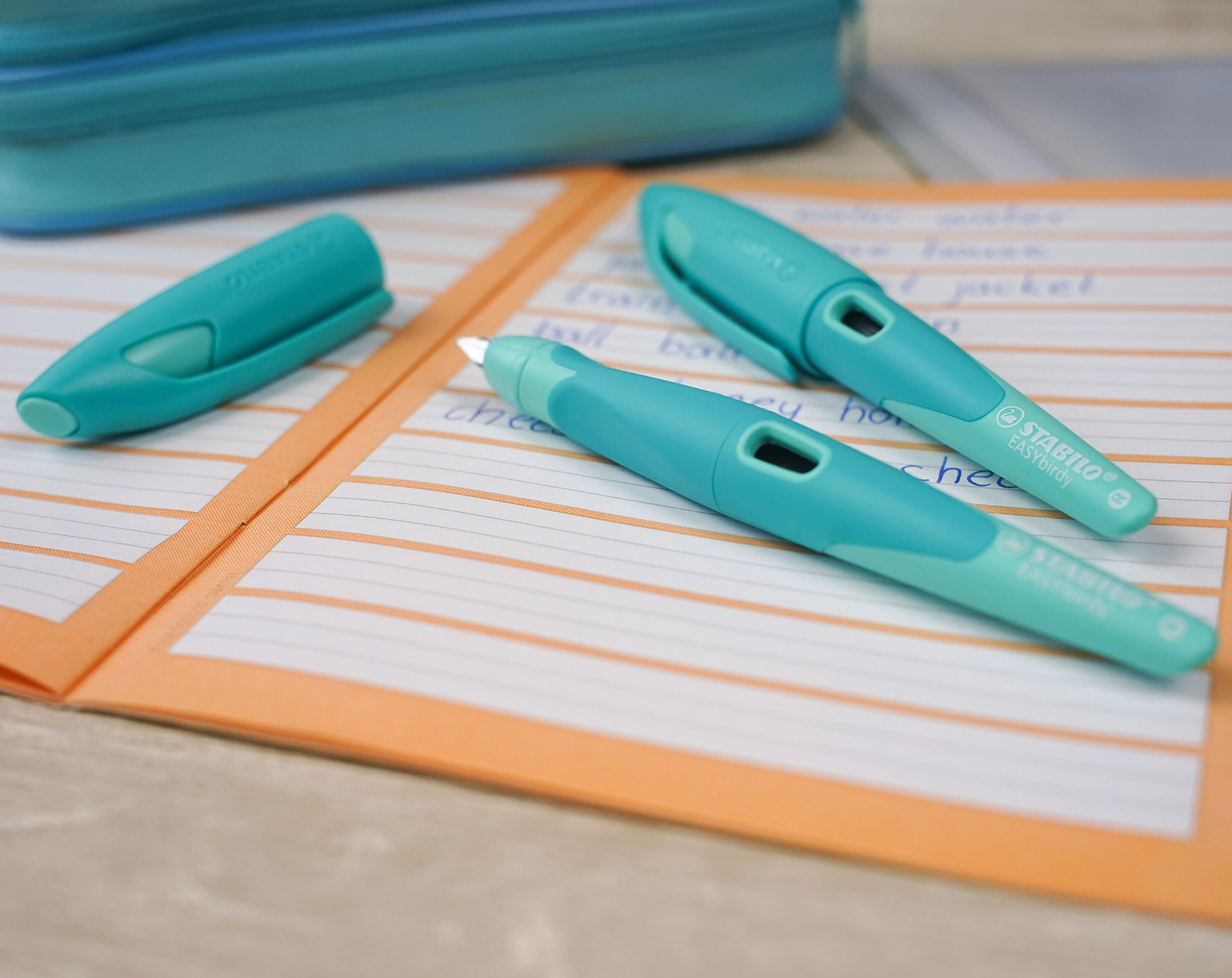 Schulfüller STABILO® EASYbirdy PASTEL Feder A für Rechtshänder in aqua grün/mint