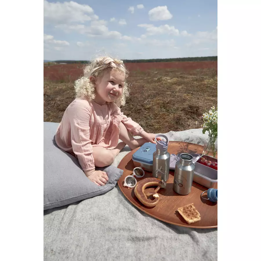 LÄSSIG Trinkflasche aus Edelstahl, Adventure Dragonfly 500 ml