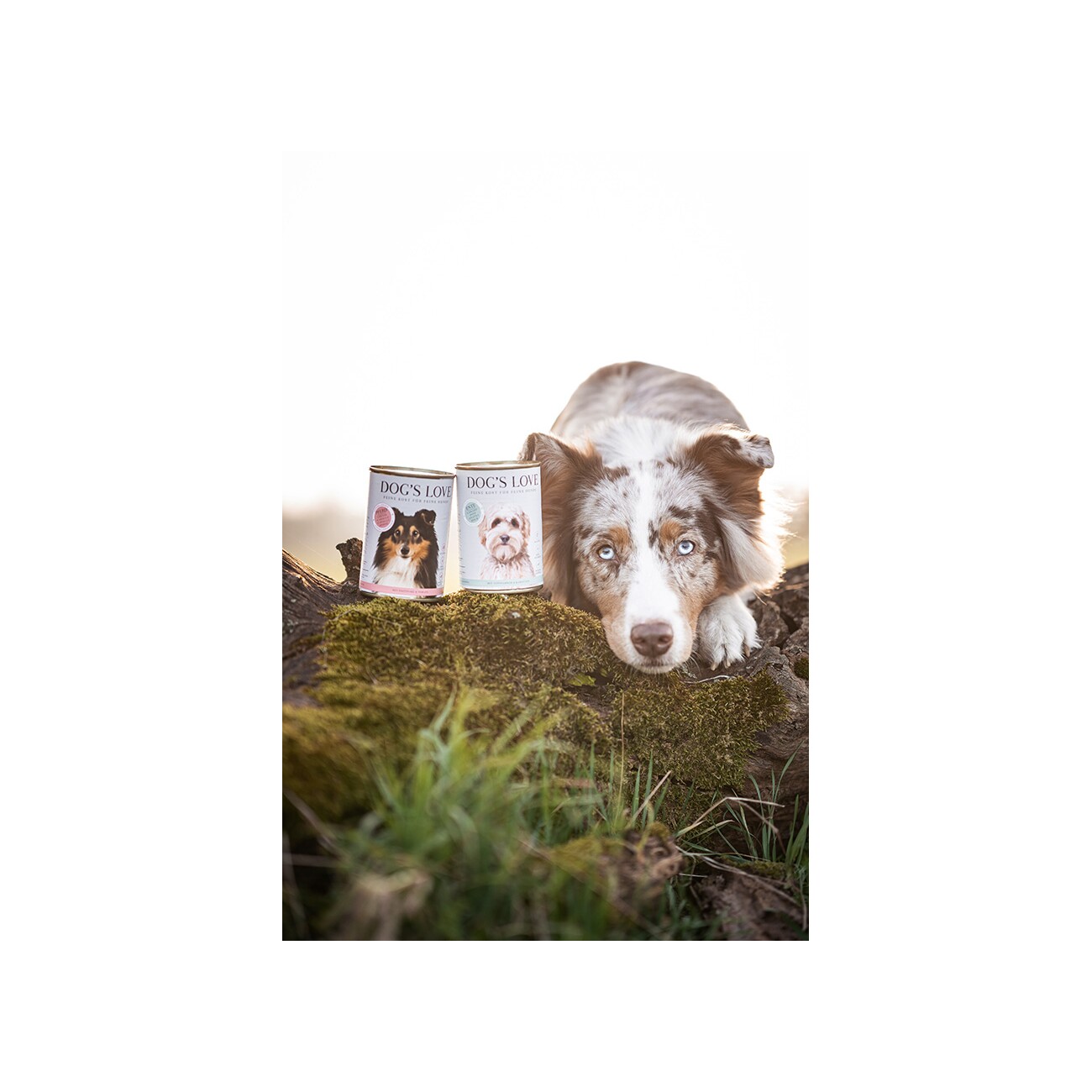 DOG'S LOVE Nassfutter Hund, Adult, Hypoallergen Ente 6x400 g