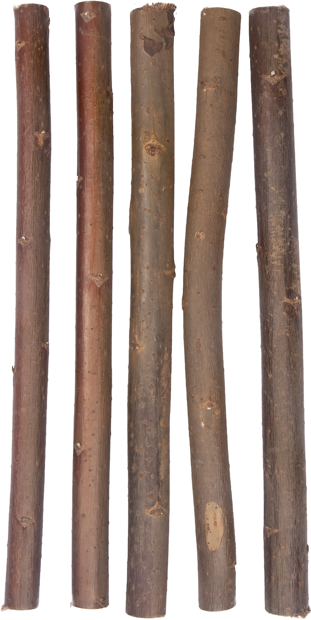 Flamingo f-100107 - Bâtonnets de Saule pour Perroquets Gourmands