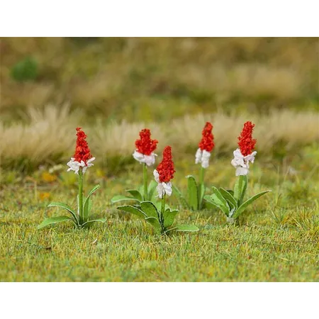 FALLER - 32 Orchideenprimeln