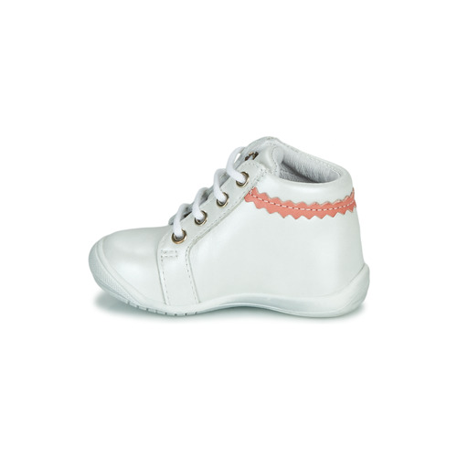 GBB - ACINTA Blanco