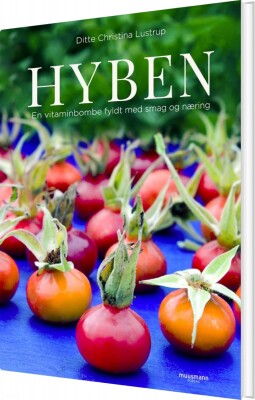 Hyben - Ditte Christina Lustrup - Bog