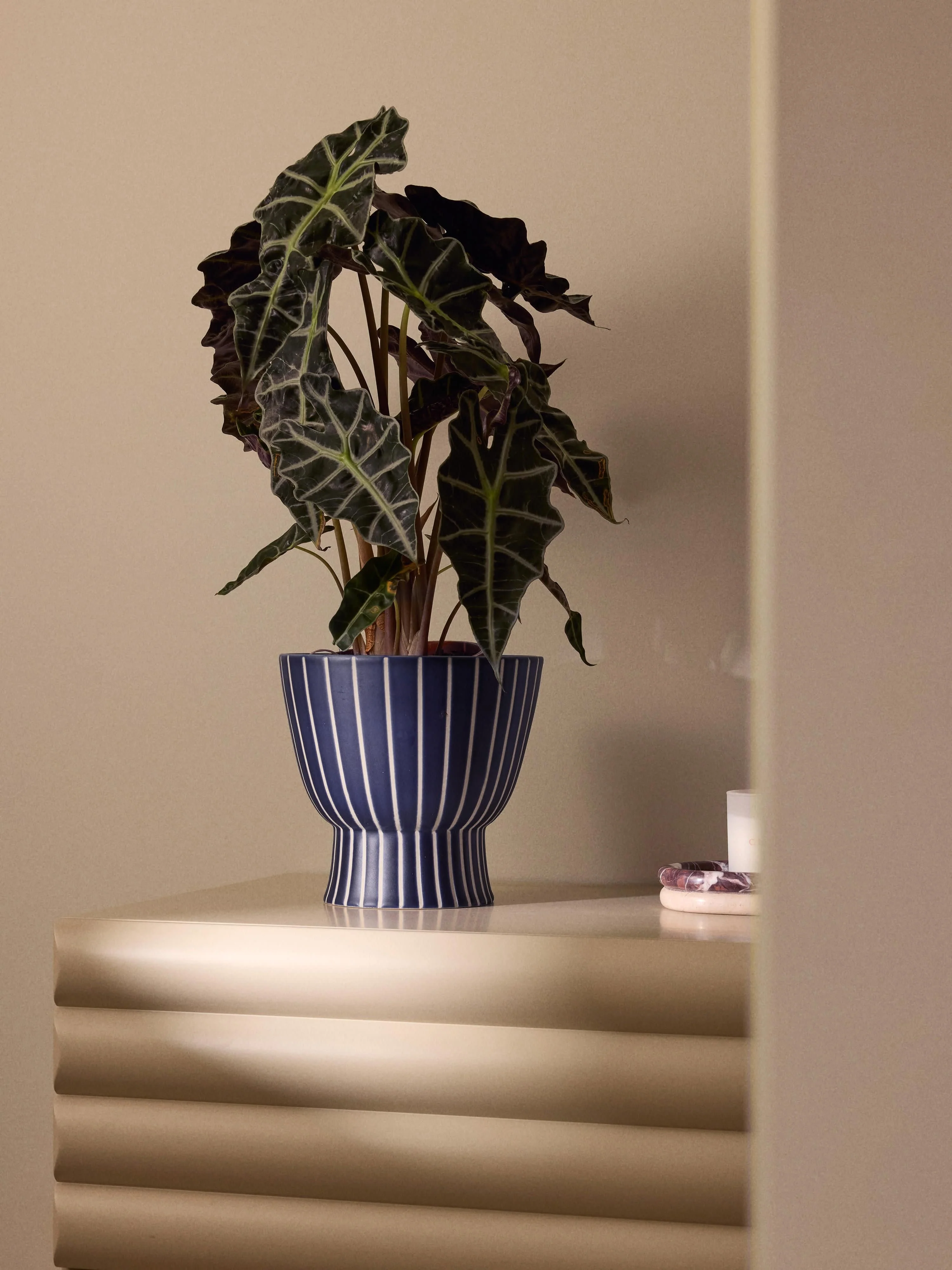 Handbeschilderde plantenpot Elio