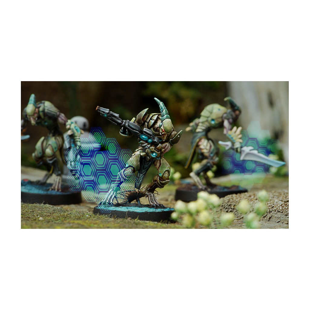 Infinity - Shasvastii Gwailos (Multi Rifle)