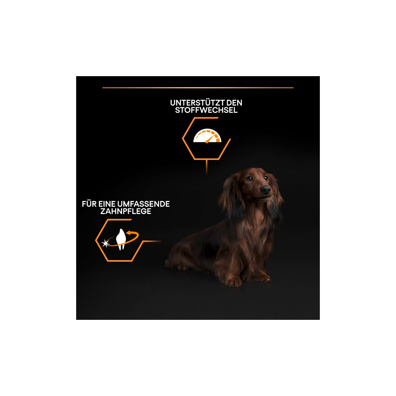 PRO PLAN Adult Small & Mini Huhn 3kg