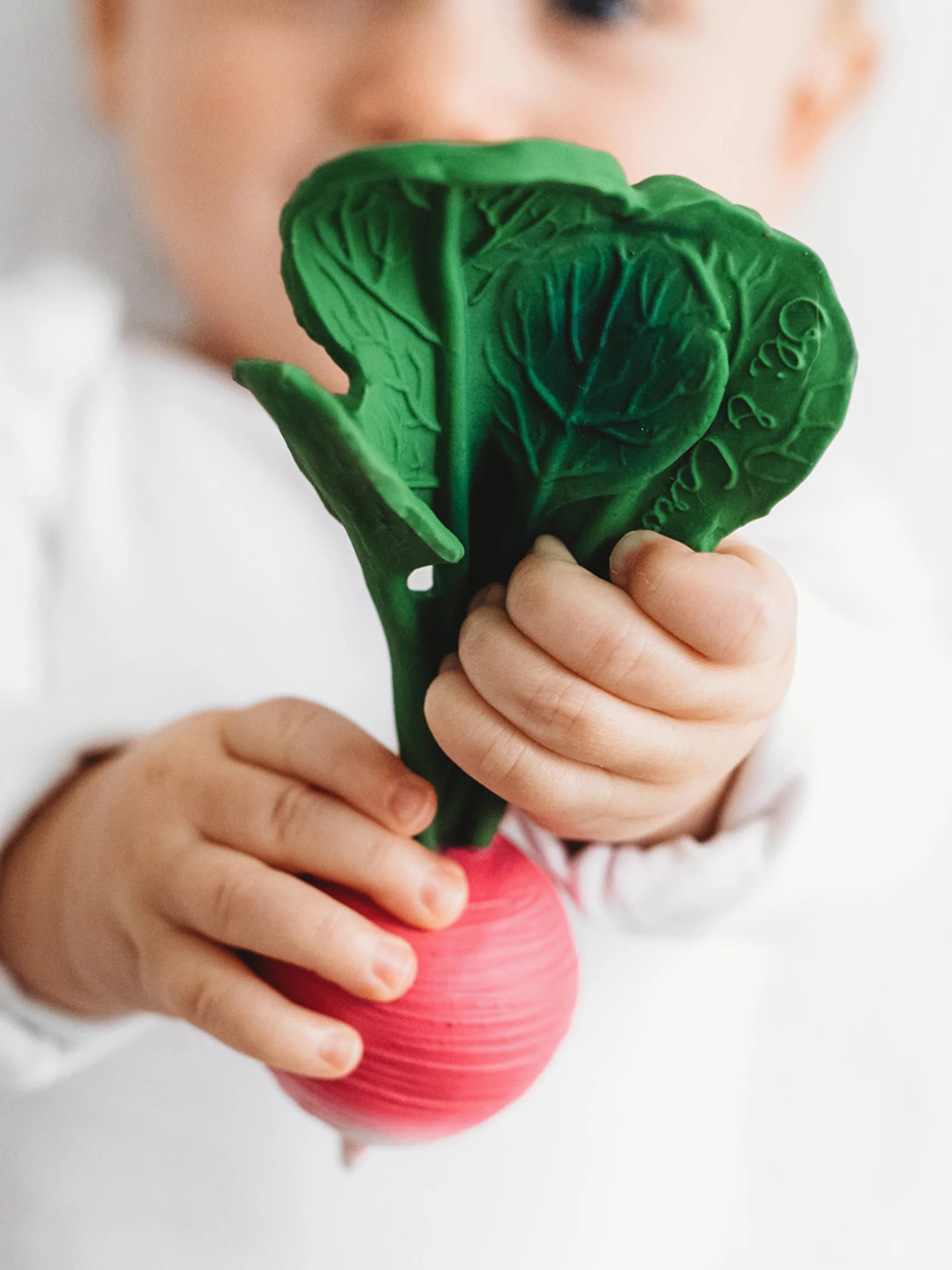 Handgemaakte bijtring Fruits & Veggies