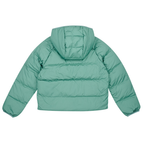 The North Face - BOYS NORTH DOWN REVERSIBLE HOODED JACKET - Noir / Vert