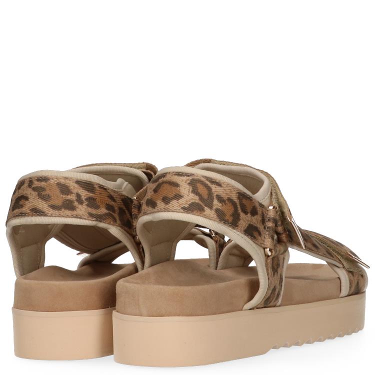 Maruti 66.1653.01 Leopard Bruin