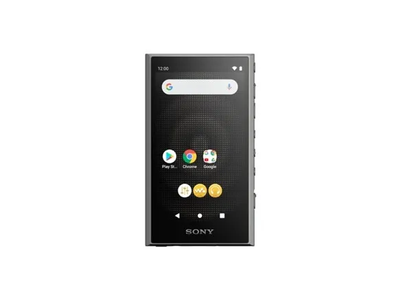 Sony Walkman NW-A306 - Digital afspiller - 32 GB - sort