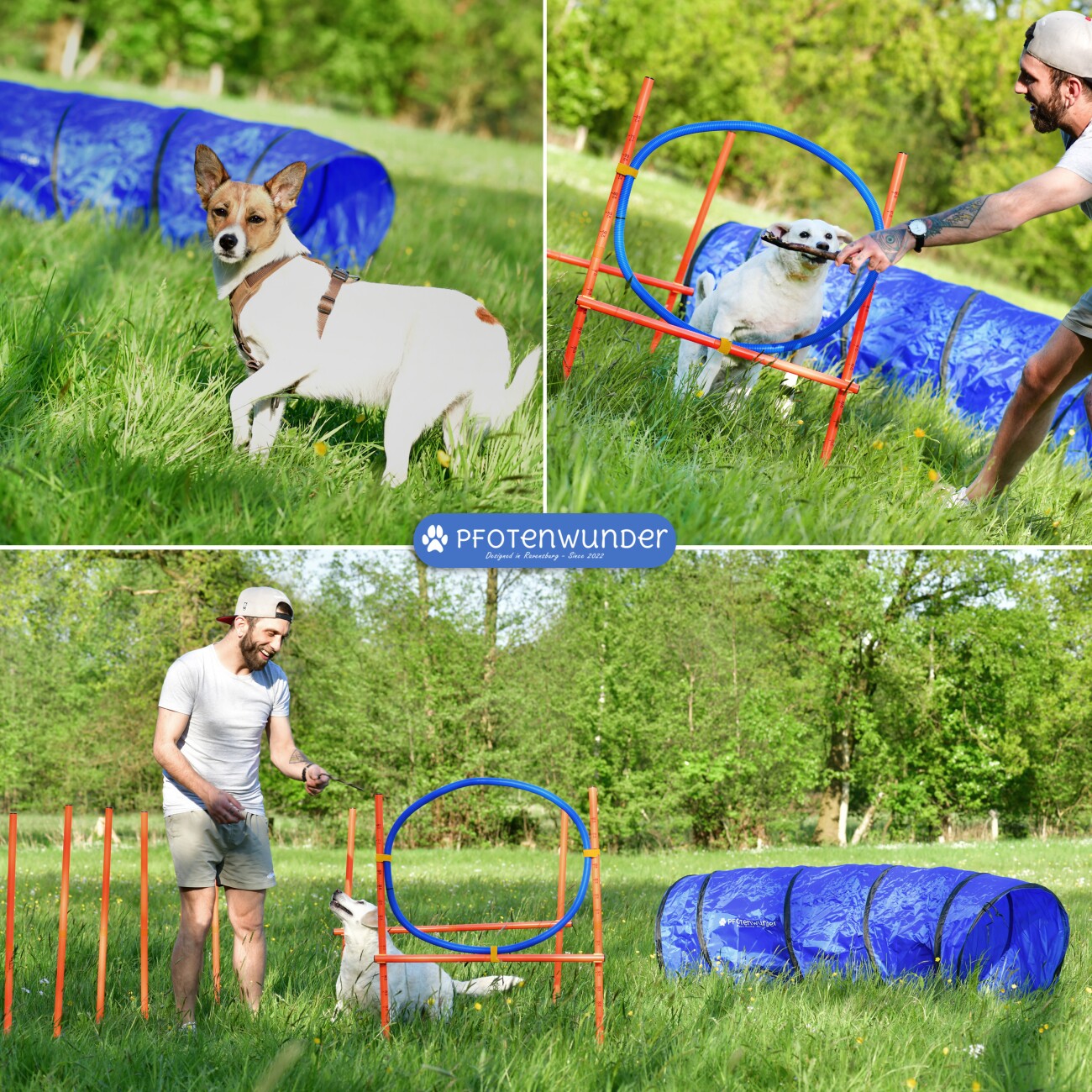 PfotenWunder® 9-in-1-Agility Set Hunde groß + 21 Min. HUNDESCHULE - 6 Slalomstangen, 1 Tunnel, für kleine & große Hunde, Training Sport Spielzeug Cavaletti Parcour Steckhürdenset Zubehör Hürden