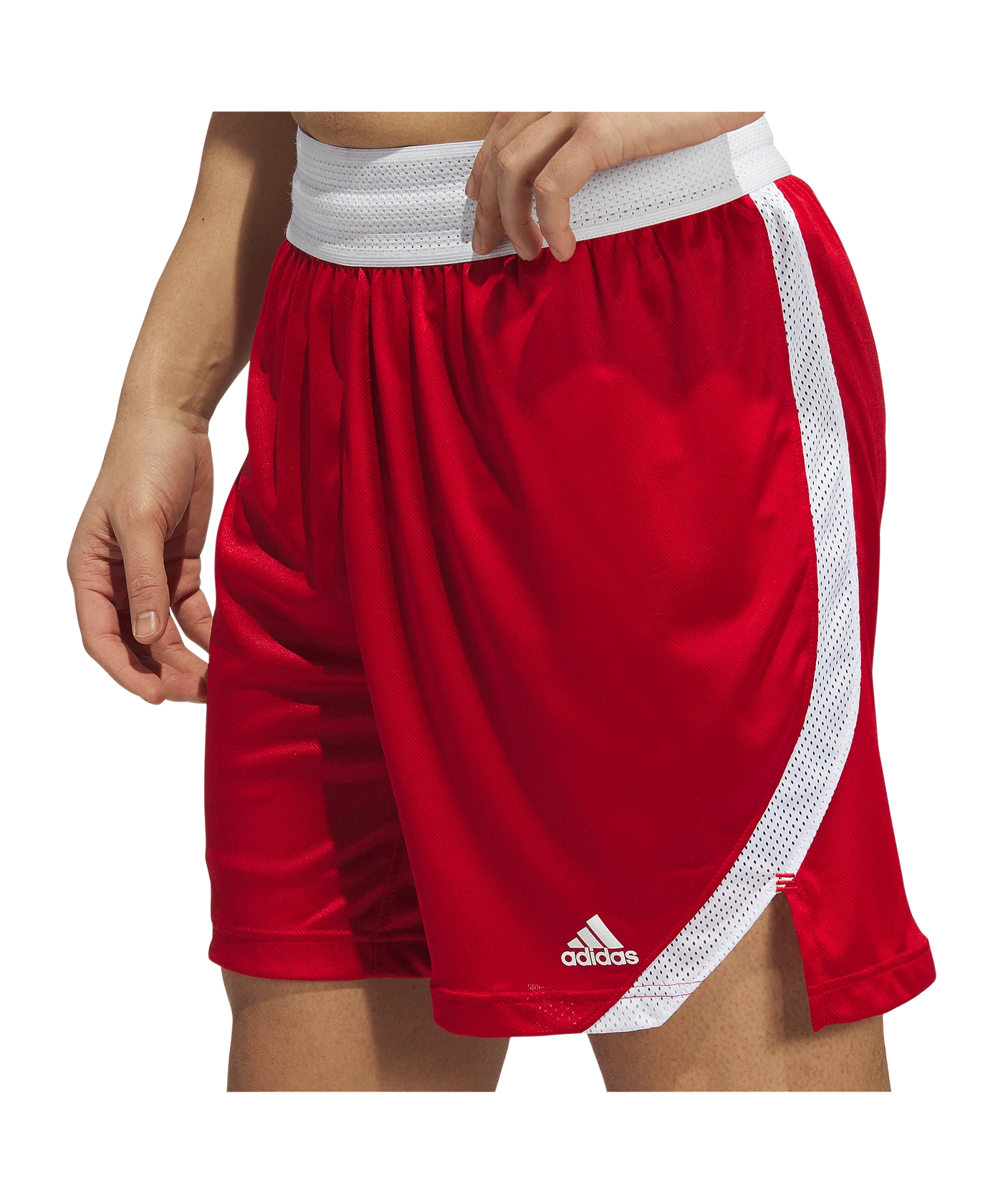 adidas Iconic Squad Short Rot