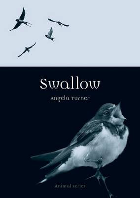Swallow - Reaktion Books - Animal (Paperback)