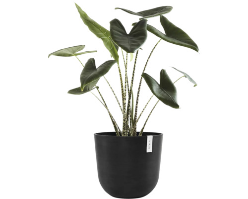 Ecopots Oslo kunststof bloempot, Ø 42,6 cm, 45 x 45 x 39,4 cm, donkergrijs