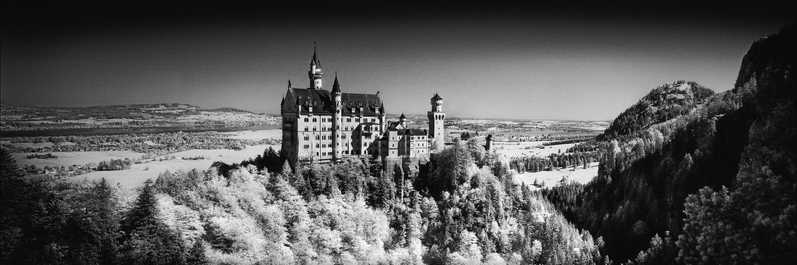 Schloss Neuschwanstein by Wolfgang Mothes - Limited Edition. Edition of: 100. Signed.