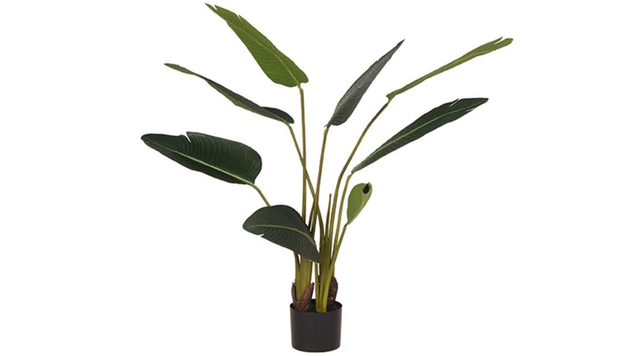 Kunstplant Strelitzia DS-54.001B70 x D70 x H100 cm