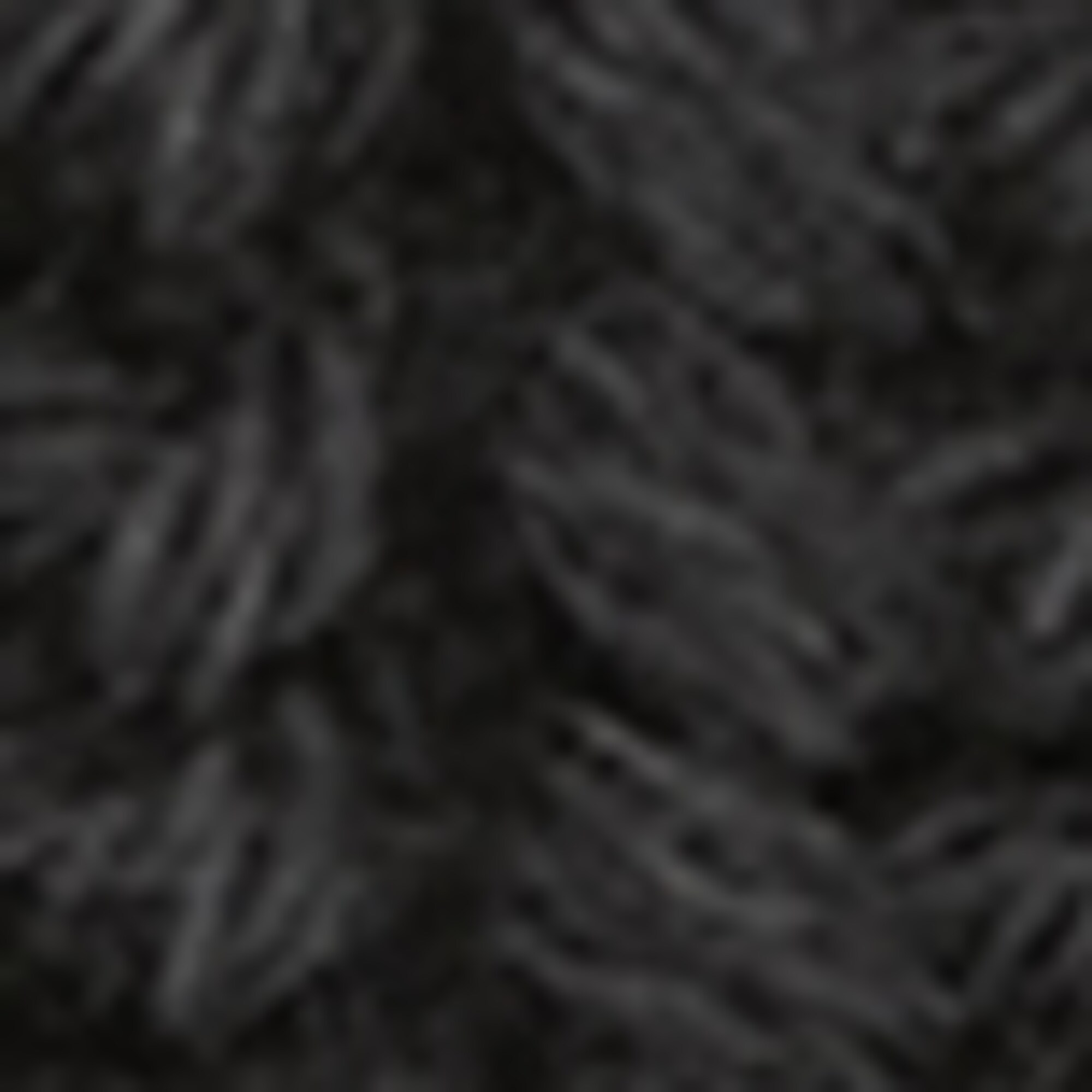 DfC Mützeaus Organic Cotton