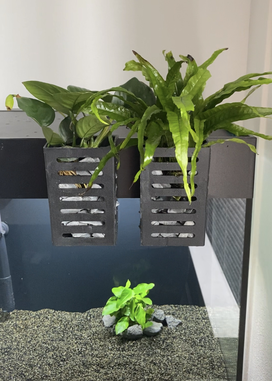 AquastoreXL Zwarte Plantenbak 13cm 2st | plantenverzorging