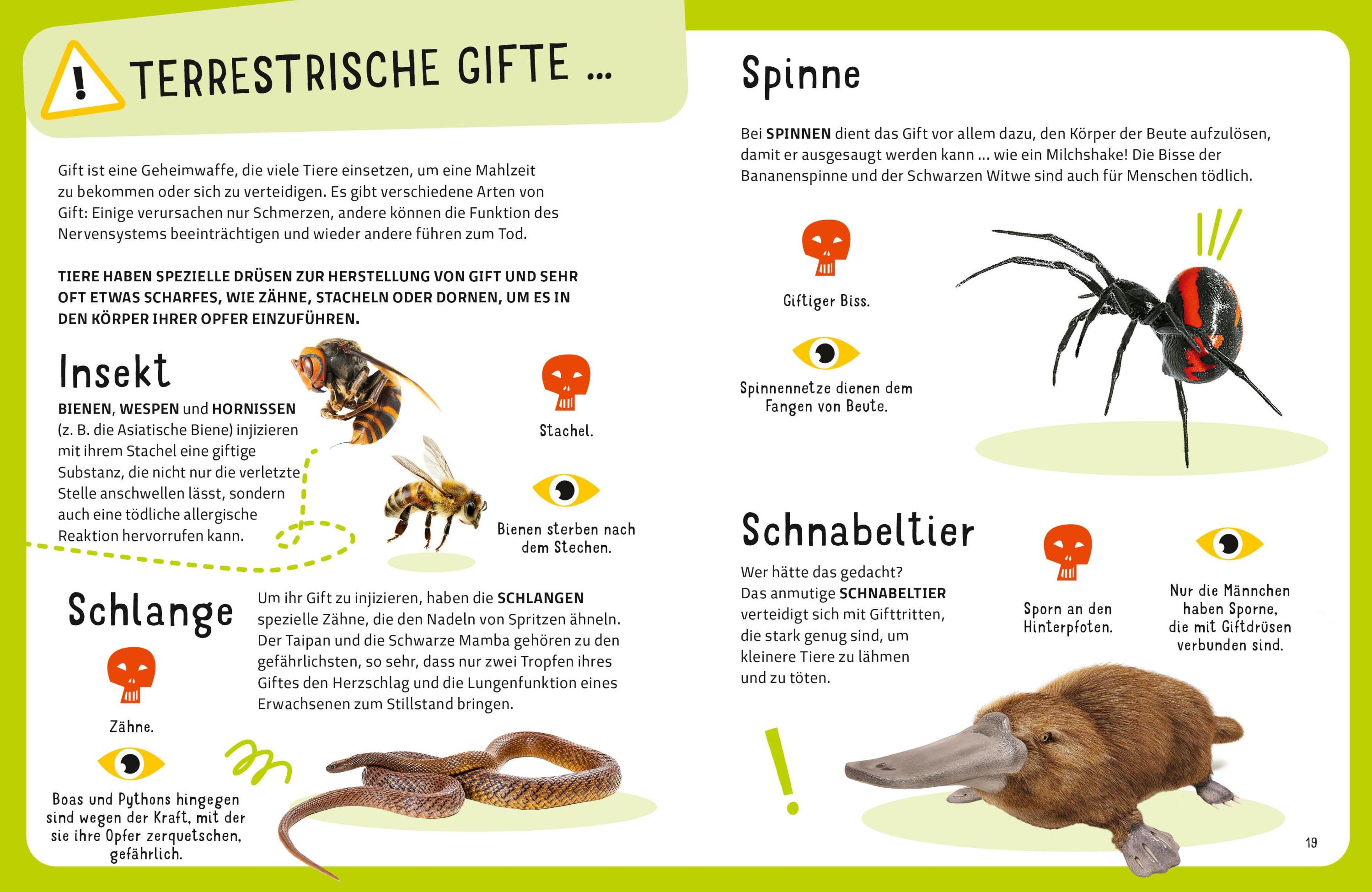 Die tödlichsten Tiere. Ein aufregendes Count-Down der gefährlichsten Tiere (Top Ten)