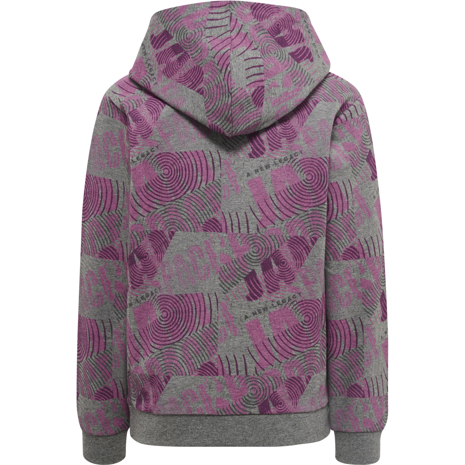 hmlSPACE JAM CUATRO HOODIE
