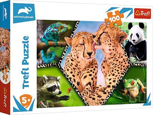 Puzzle 100  Schöne Natur