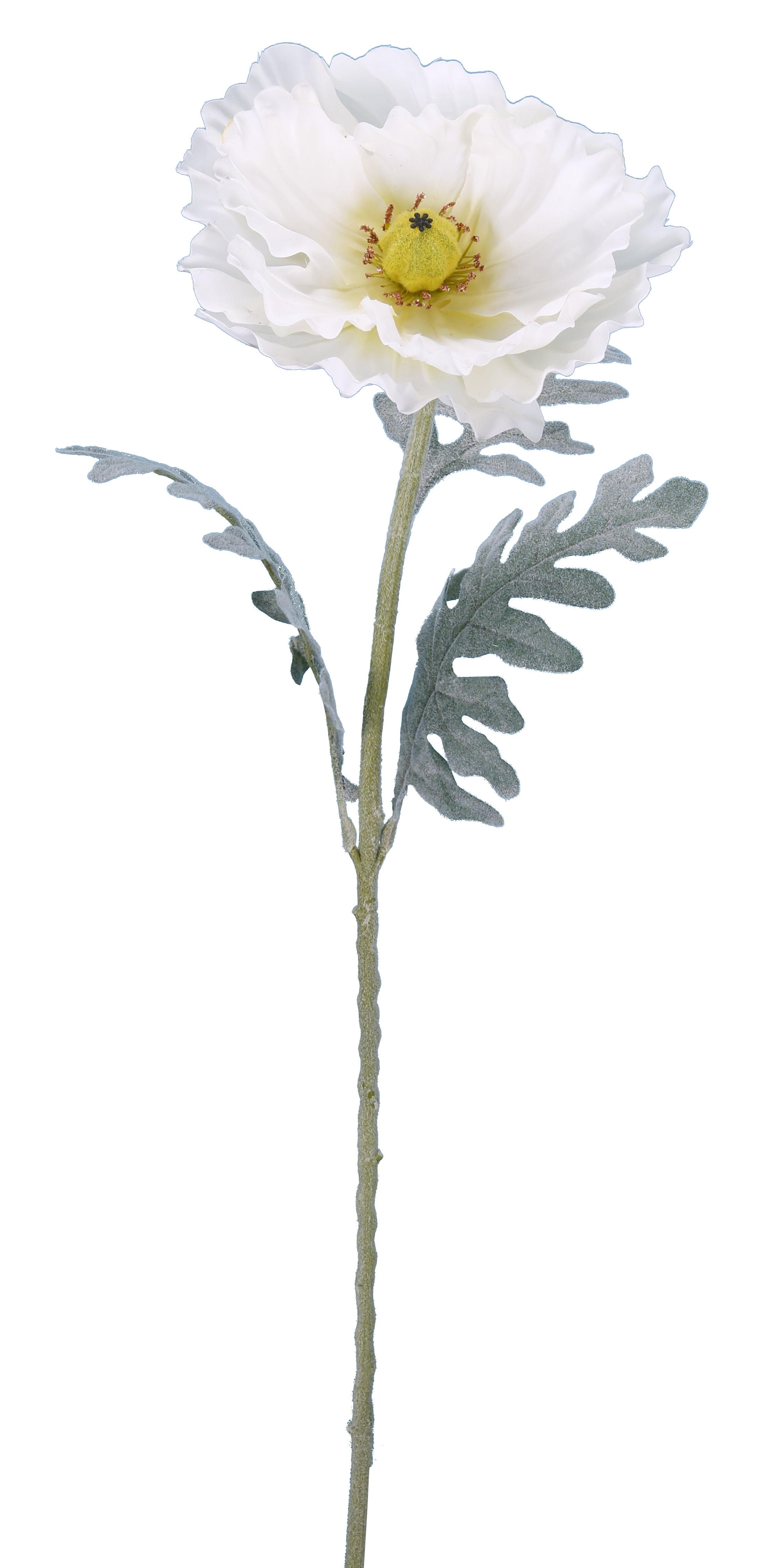 PAVOT CREME H.115CM