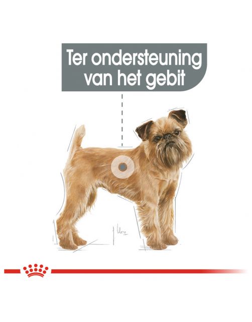 Royal Canin Dental Care Mini - Hondenvoer