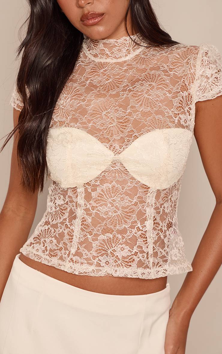 Crème Top En Dentelle À Col Montant Et Manches Courtes