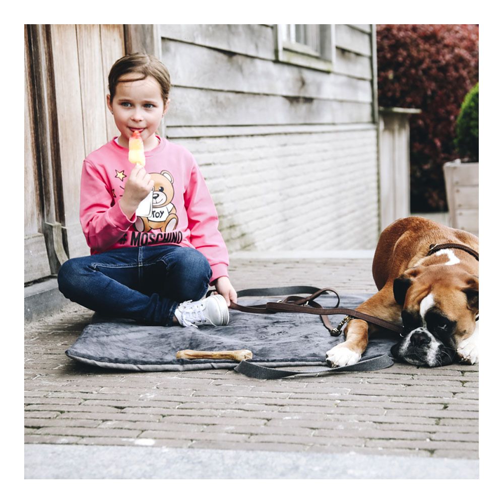 Kentucky TRAVEL IN STYLE - Tapis pour chien grey