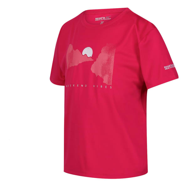 T-shirt randonnée REGATTA ALVARADO VII PINK POTION