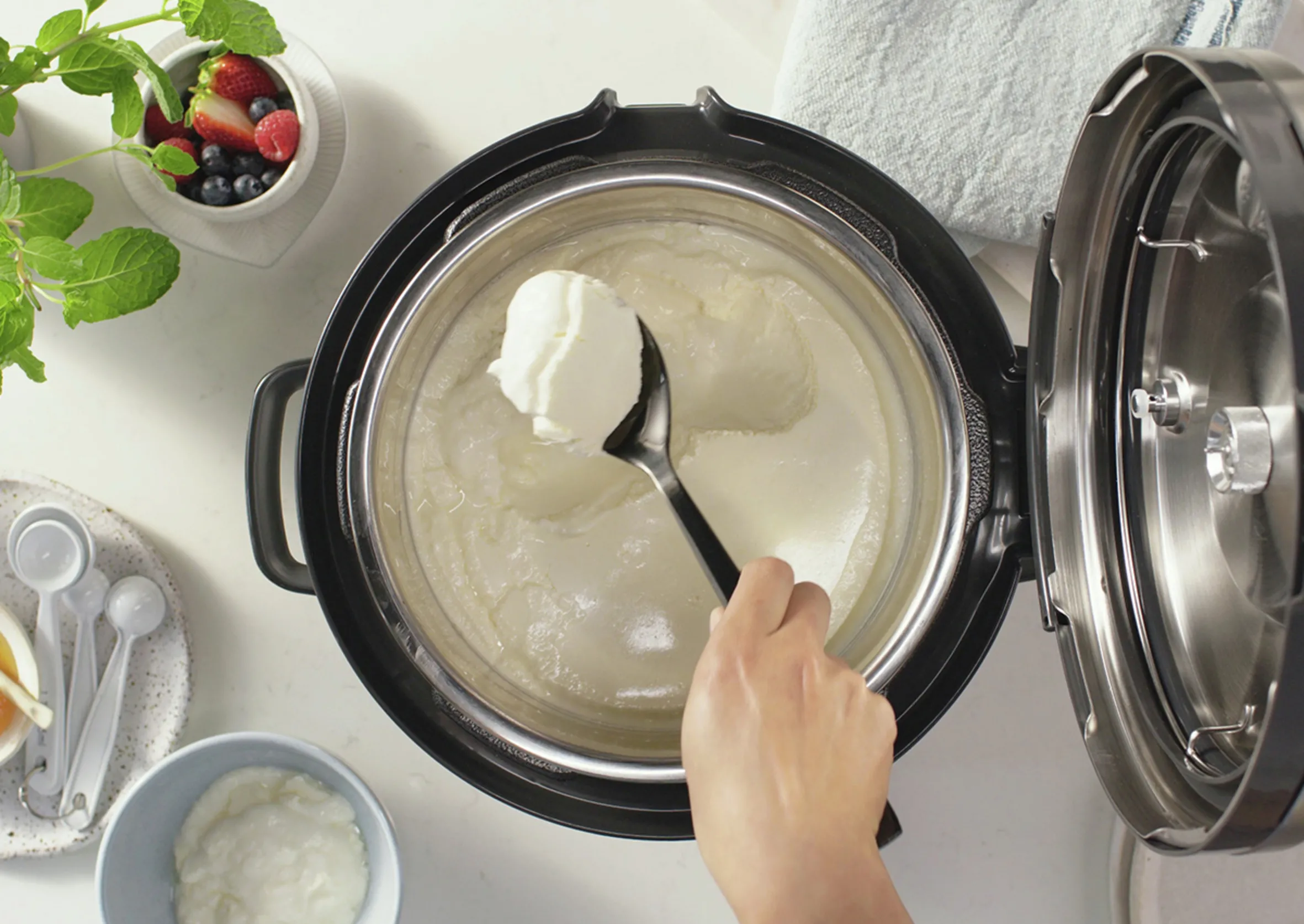 Sage The Fast Slow Go Multicooker