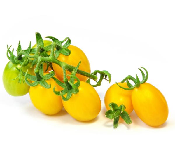 Datteltomate, orange